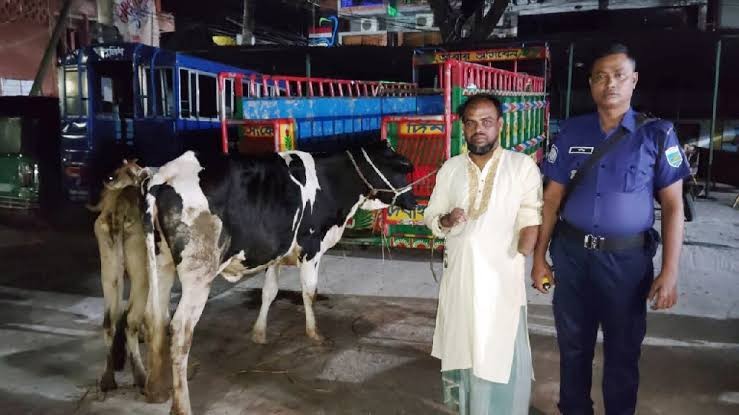 পাবনা বাড়ির আন্ডারগ্রাউন্ড থেকে দুই চোরাই গরু উদ্ধার, যুবদল কর্মী আটক